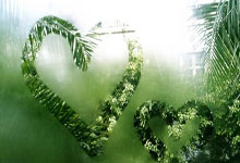 开云体育登录-玫瑰锋芒绽世界：中国女足新星闪耀国际绿茵场