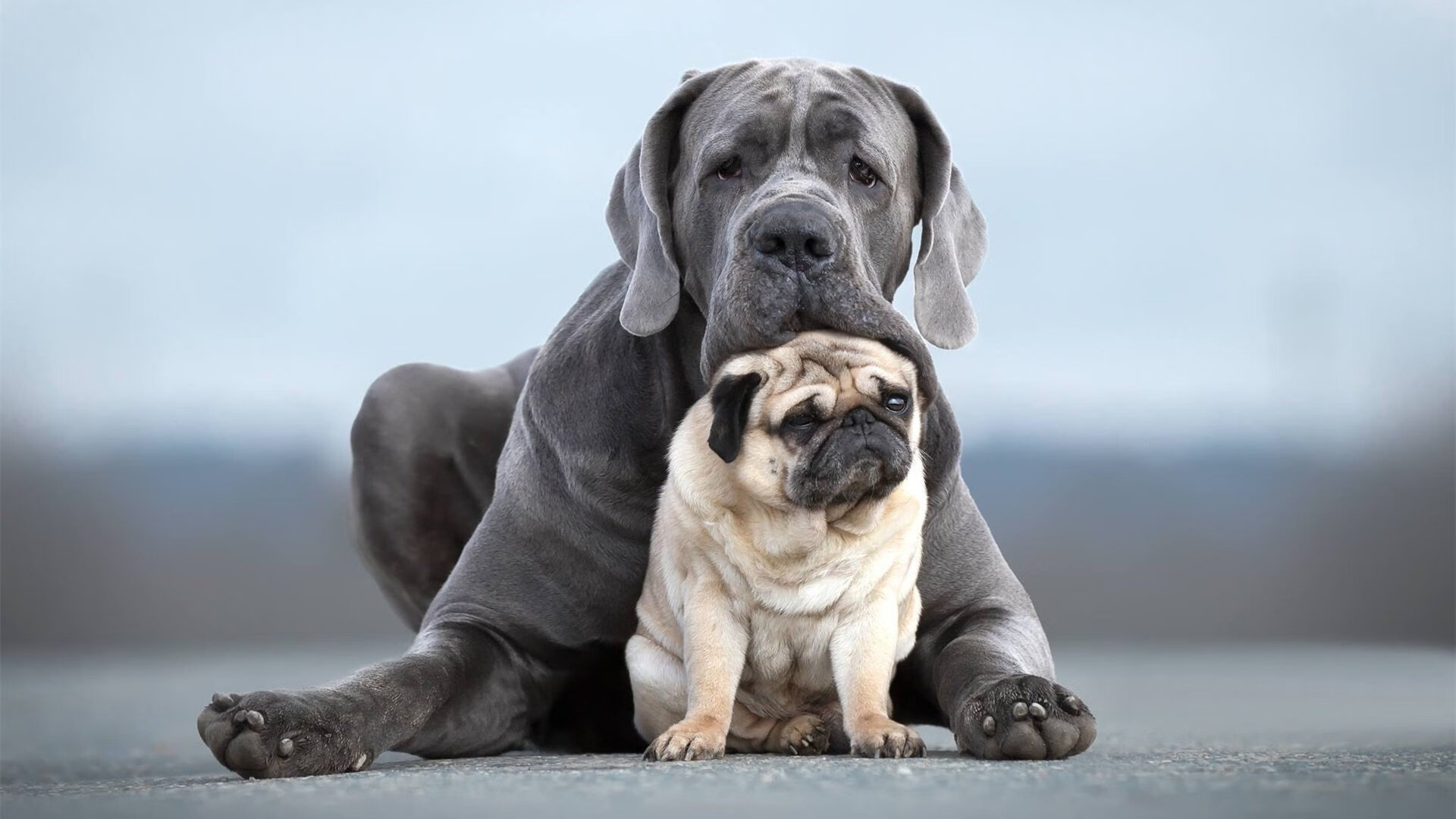 内马尔爆发引领乌拉圭翻盘佛罗伦萨，友谊赛上演惊天逆转