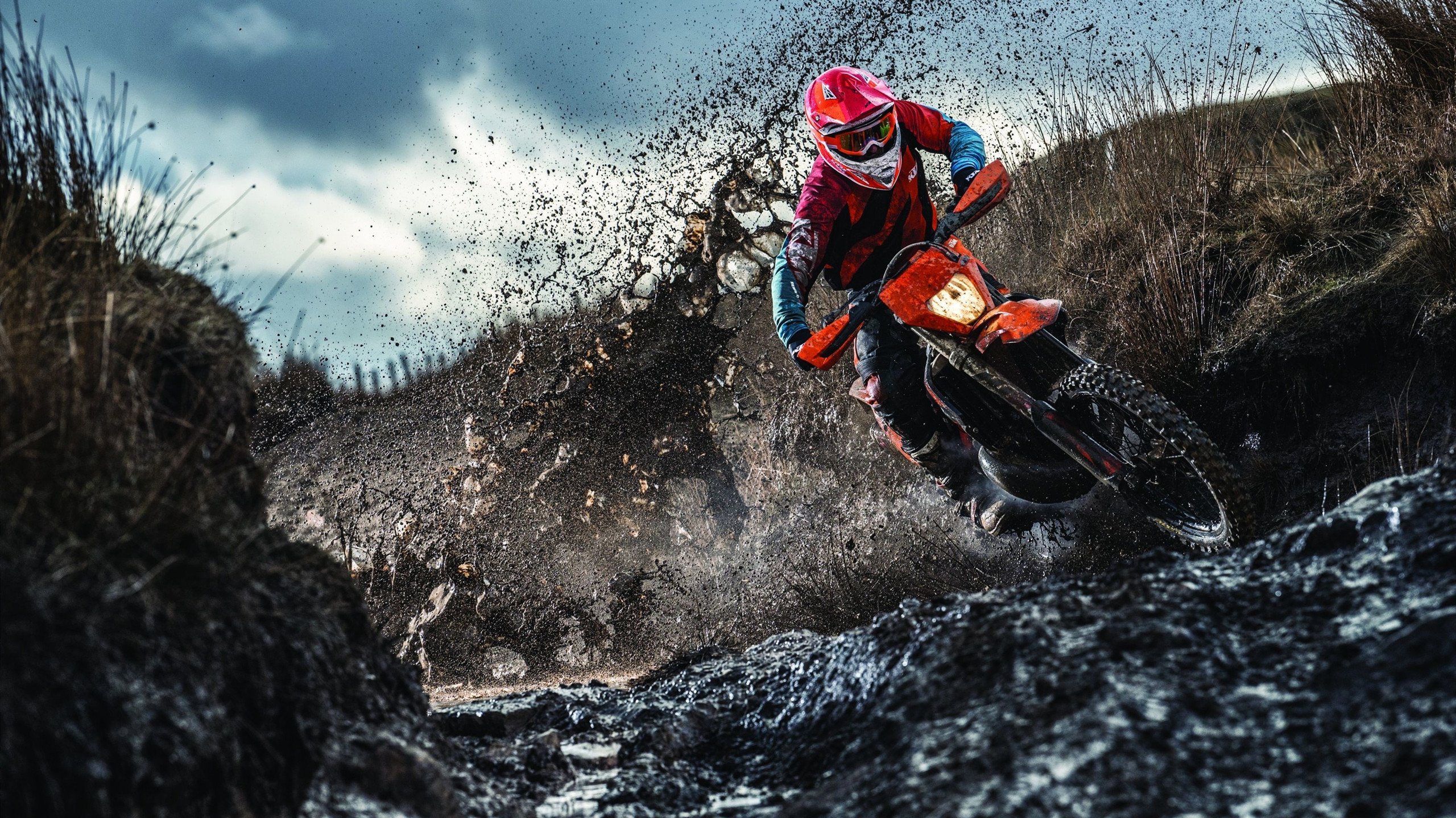 黑暗中的引擎，F1年度争冠之夜，托尼如何撕裂寂静