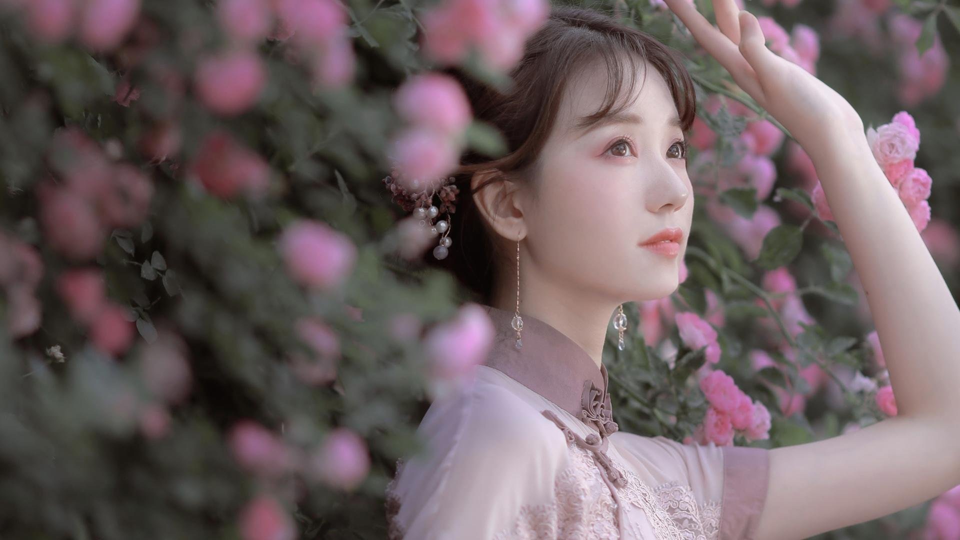 战术压制与天神降临，伊布主宰世界排名关键战