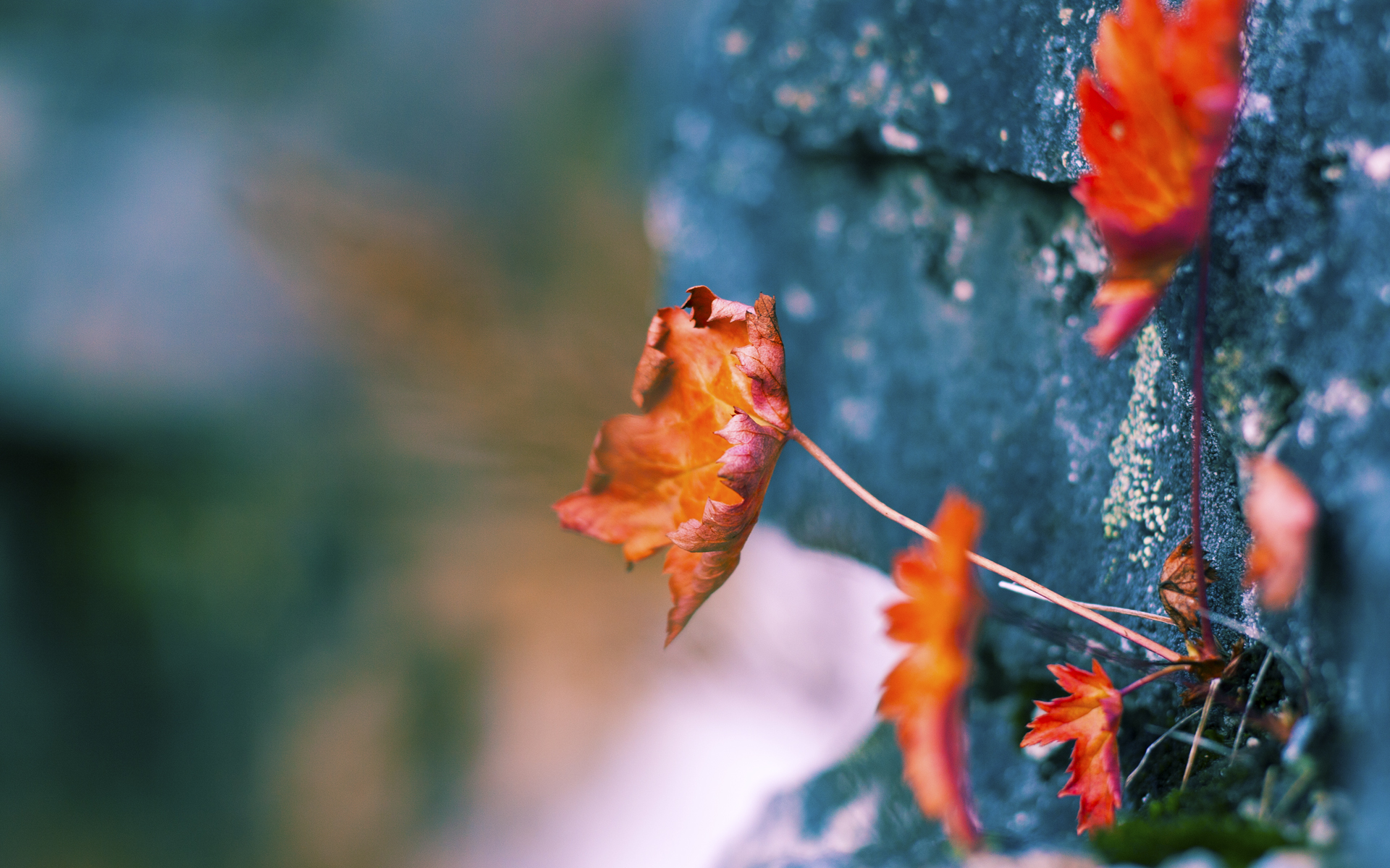 保罗进攻端艺术献技，浙江队险胜雷霆