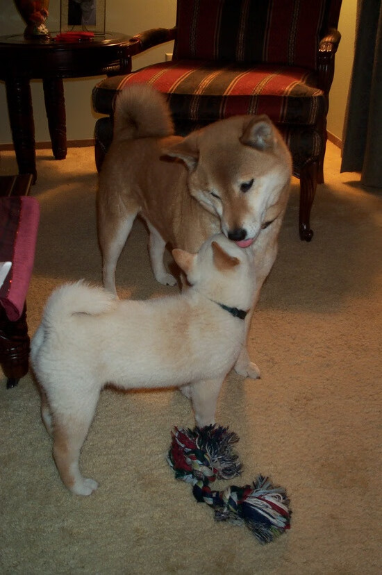 骑士铁蹄踏破快船防线！恩比德关键时刻定乾坤