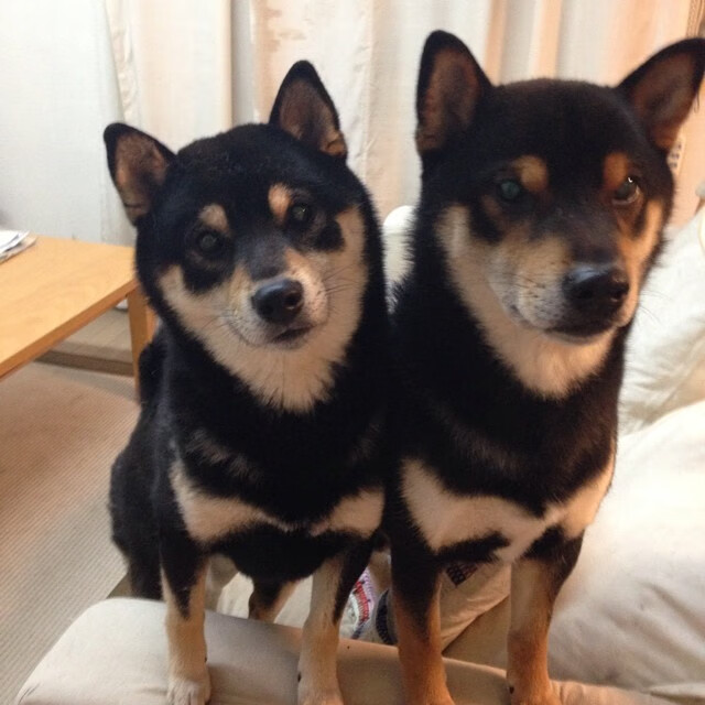 孤胆英雄的时代，当阿尔瓦雷斯与姆巴佩定义决定性时刻