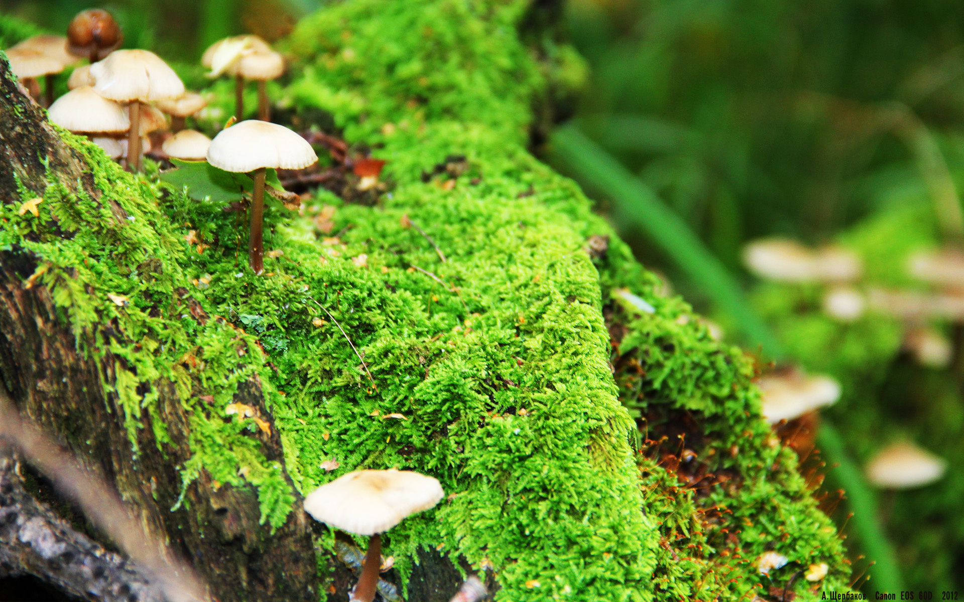 欧冠决赛之夜，特奥连击拉开差距，定格荣耀时刻