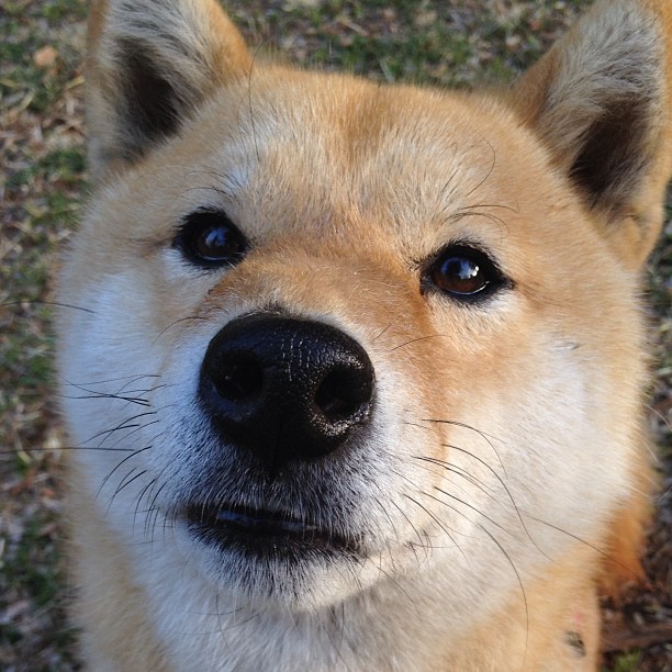 从救赎罪人到终焉主宰,凯塞多一夜间颠覆所有篮球教科书