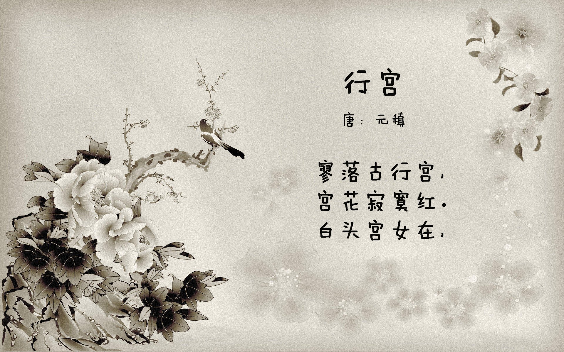 跨越太平洋的绝杀回响，当深圳终场哨响，格林在总决赛加冕