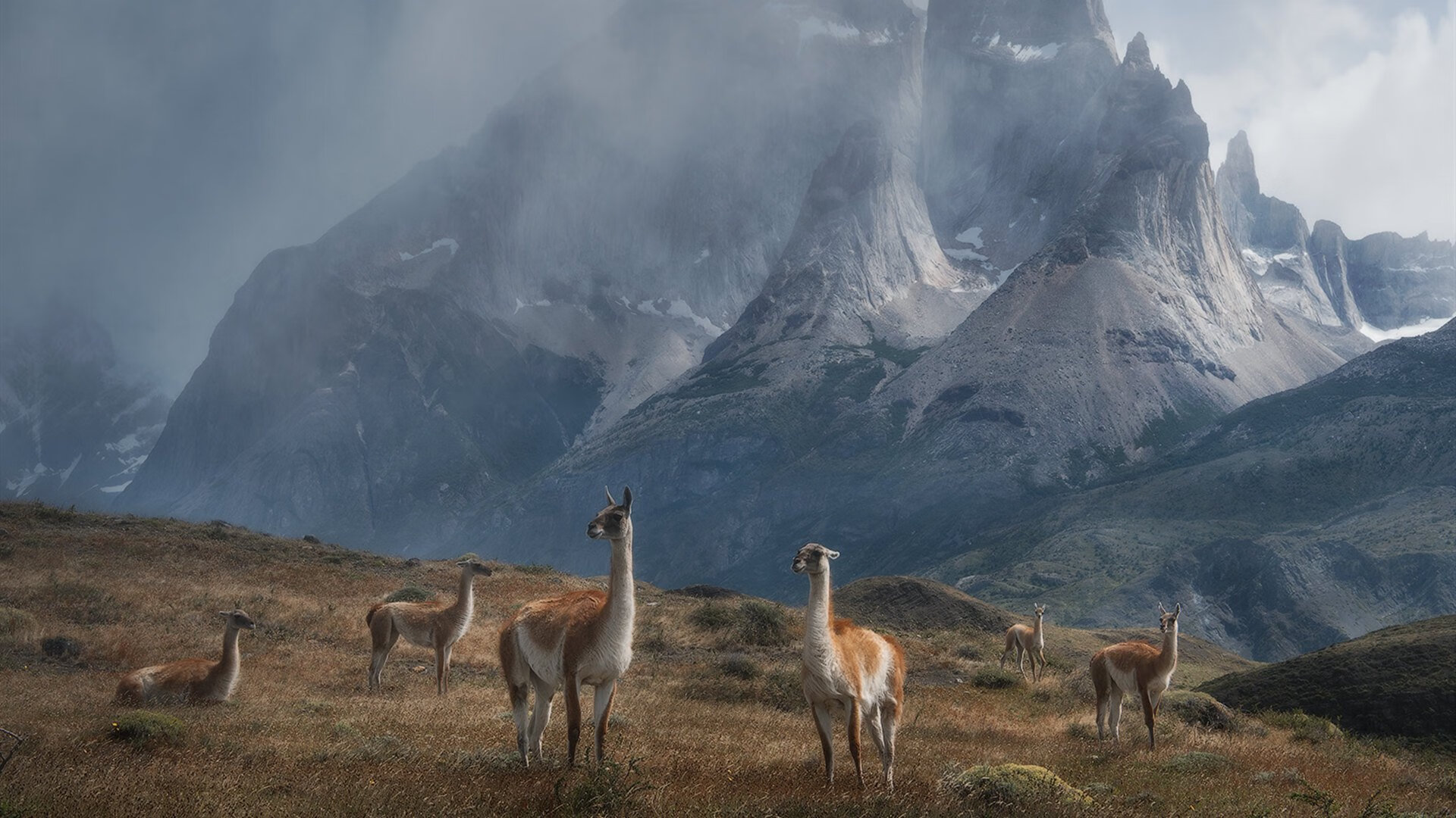 奥运周期关键战聚焦,秘鲁队强势踏平尼斯,预示新周期崛起?