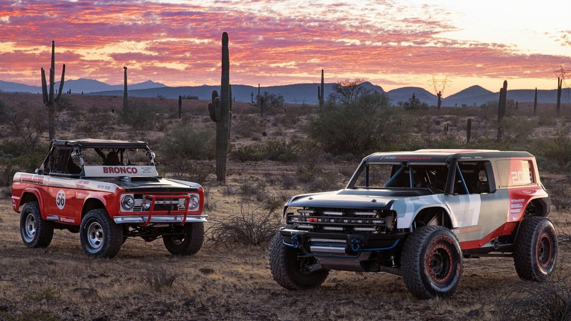 西决生死战之夜！杜兰特关键回合不手软，死神镰刀收割比赛