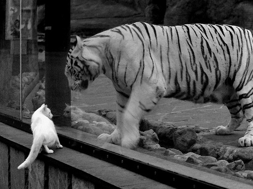 南美风暴席卷亚平宁，姆巴佩英超争冠夜接管比赛