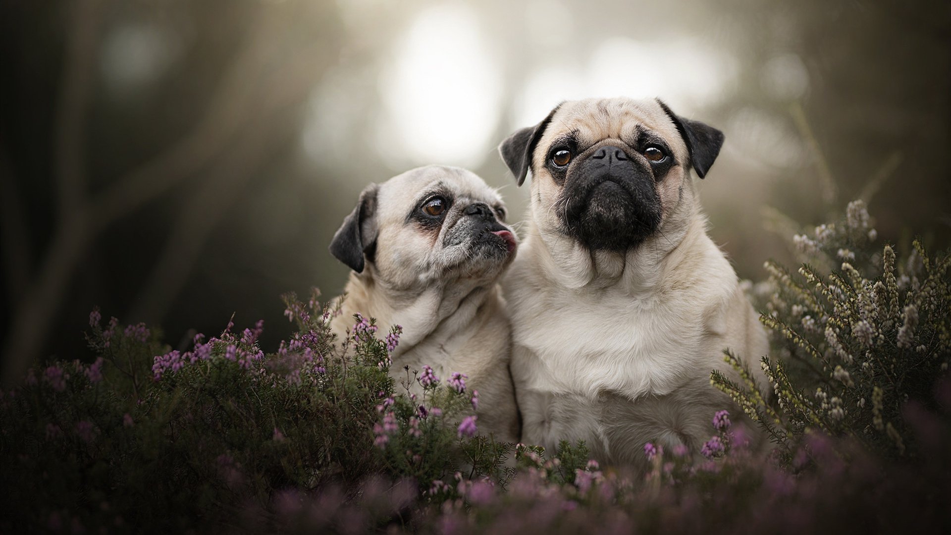 冷门与传承,当哥斯达黎加绝杀瑞士,加维在亚平宁宣告新时代