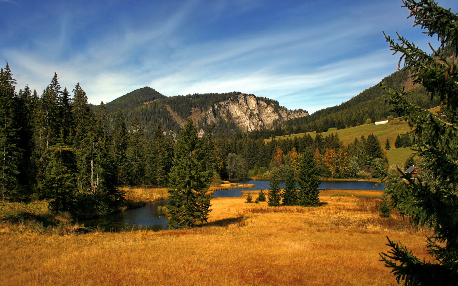 坎特爆发！新西兰正面击溃贝蒂斯创历史